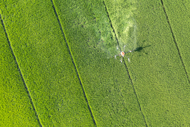 Smart Farming: Effizienz und Nachhaltigkeit mit Drohneneinsatz