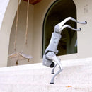 Unitree Go2 EDU Plus - Robot Dog