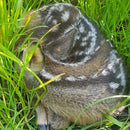 🔔 Rehkitzrettung 2025 – Bereit für die neue Saison! - Schulung und Ausbildung