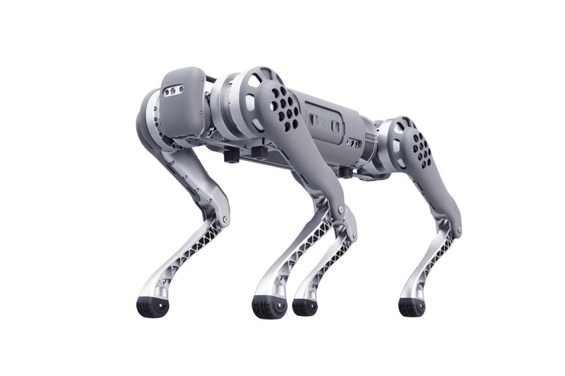 Unitree B1 - Robot Dog